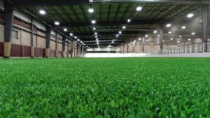 Enhancing Sports worldnewswire